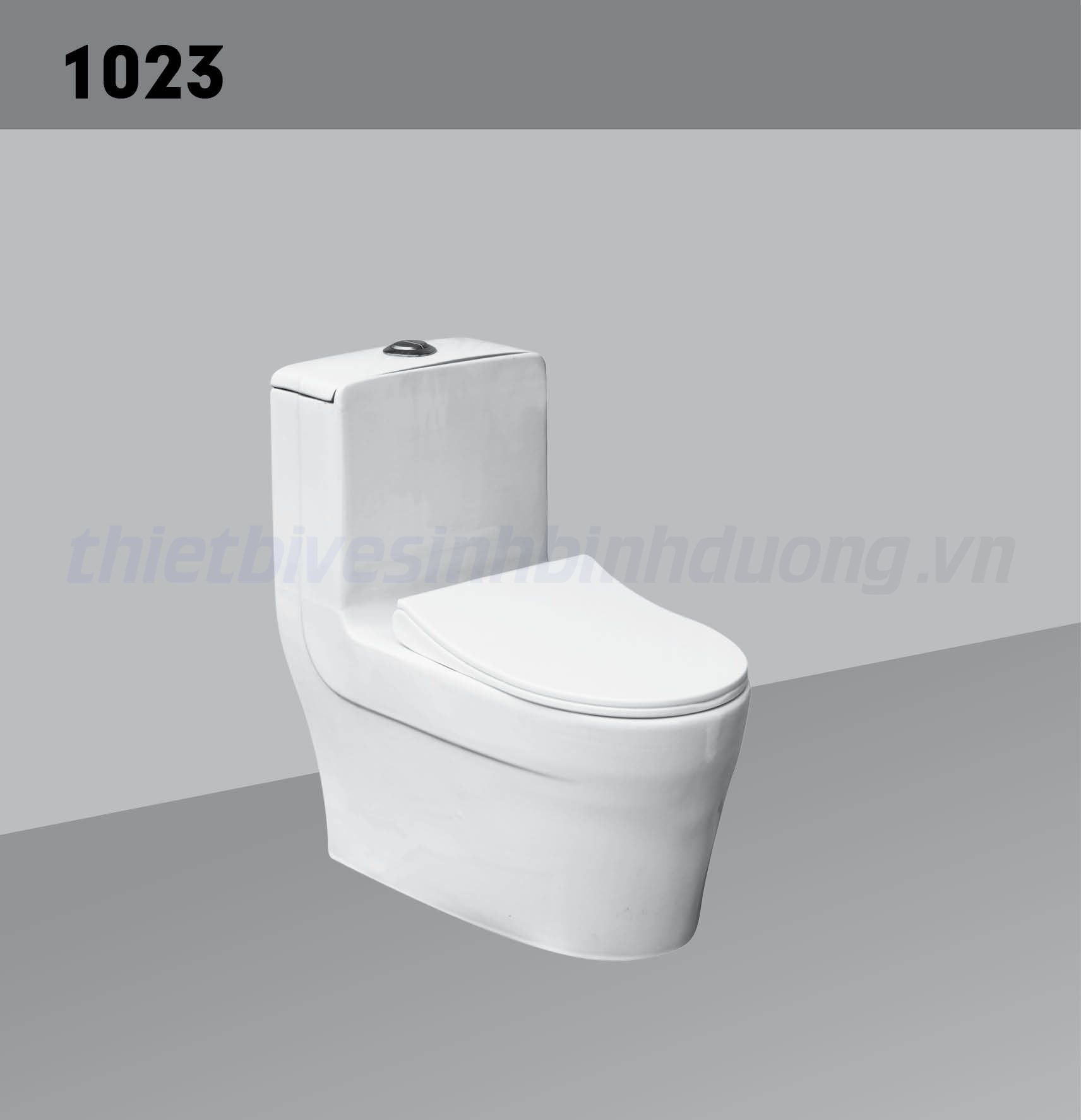 Bồn cầu sứ Hảo Cảnh HC 1023
